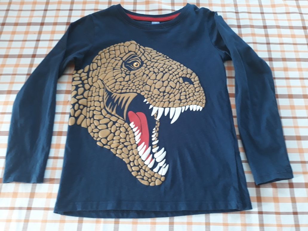 Bluzeczka koszulka dla chłopca dinozaur  122