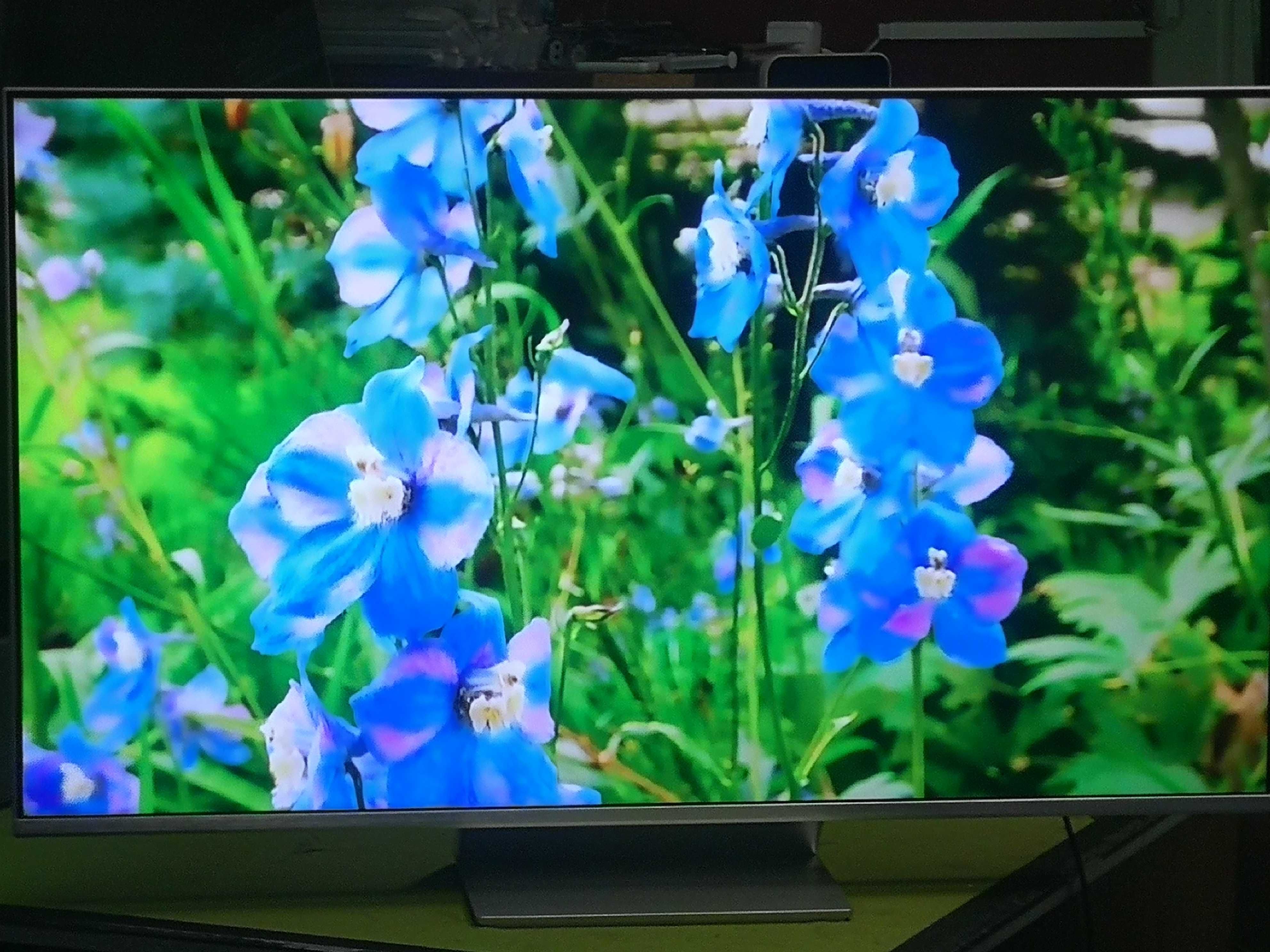 Telewizor Philips  65 cali 4K UHD ,Android ,Ambiliht3,  IDEAŁ