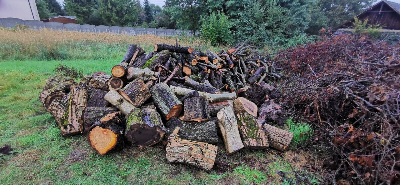 Drewno Drzewo różne Orzech,Wiśnia,Gruszka,Śliwka,Jabłoń Krzeszowice