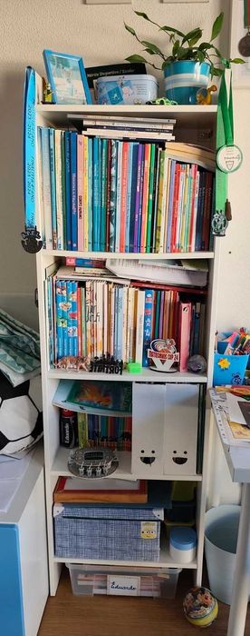 Estante BAGGEBO Ikea