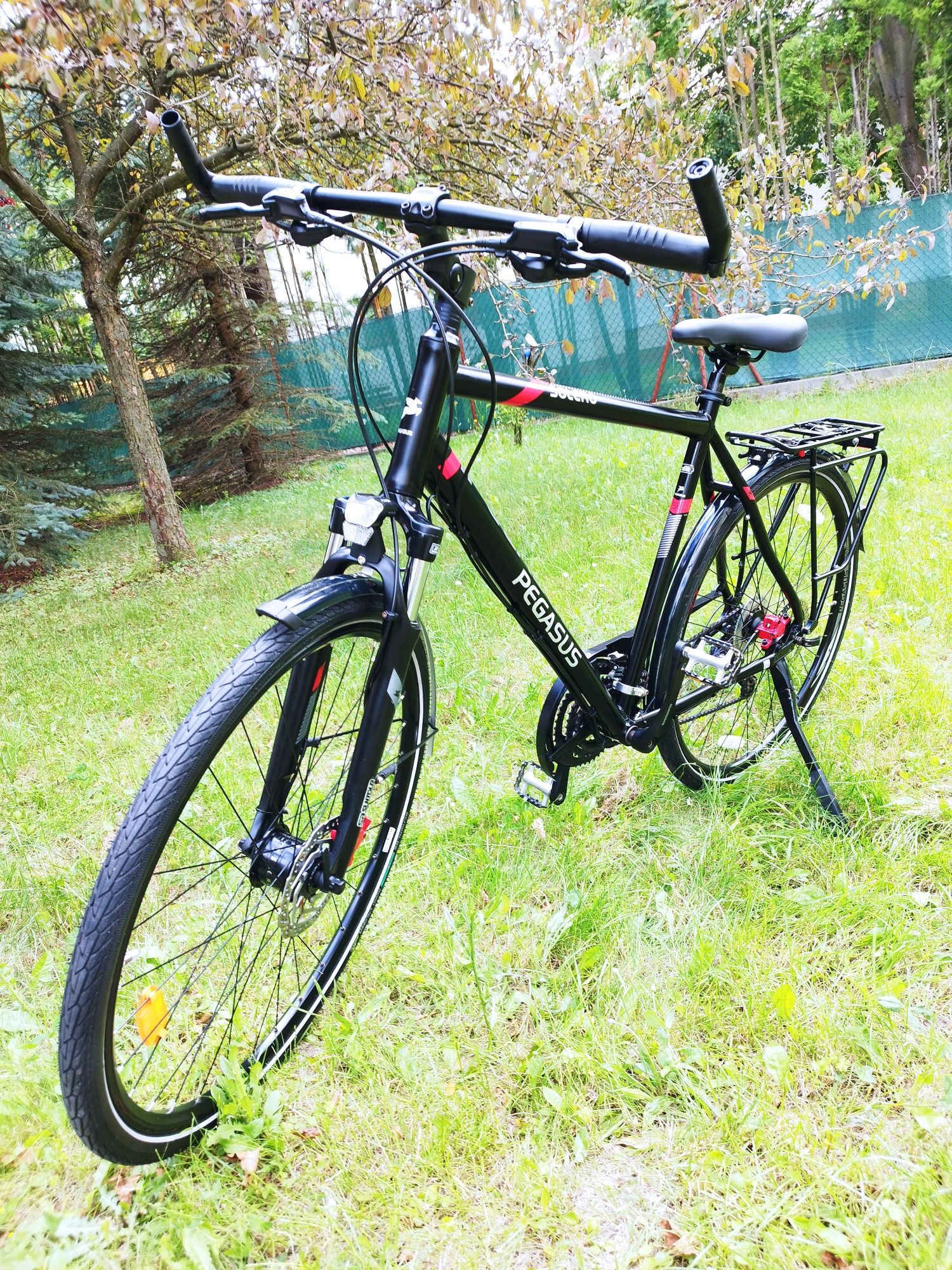 PEGASUS Solero Disc na kołach 28 cali Shimano Deore