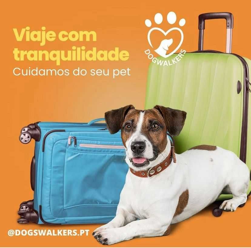 Estadia Familiar para cães e gatos