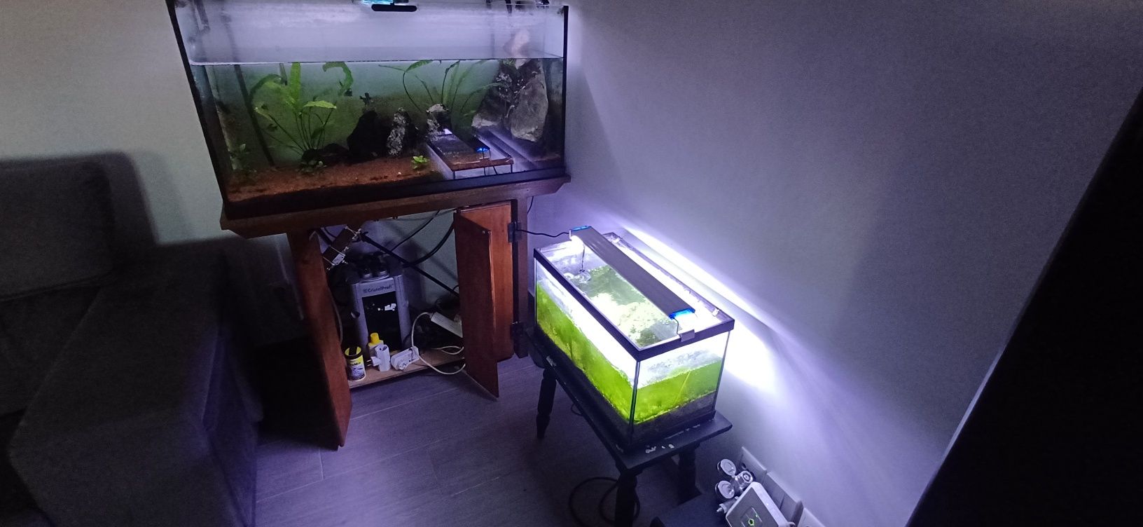 Vendo conjunto de aquarios