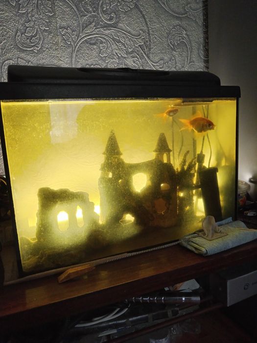 Аквариум для рыбок