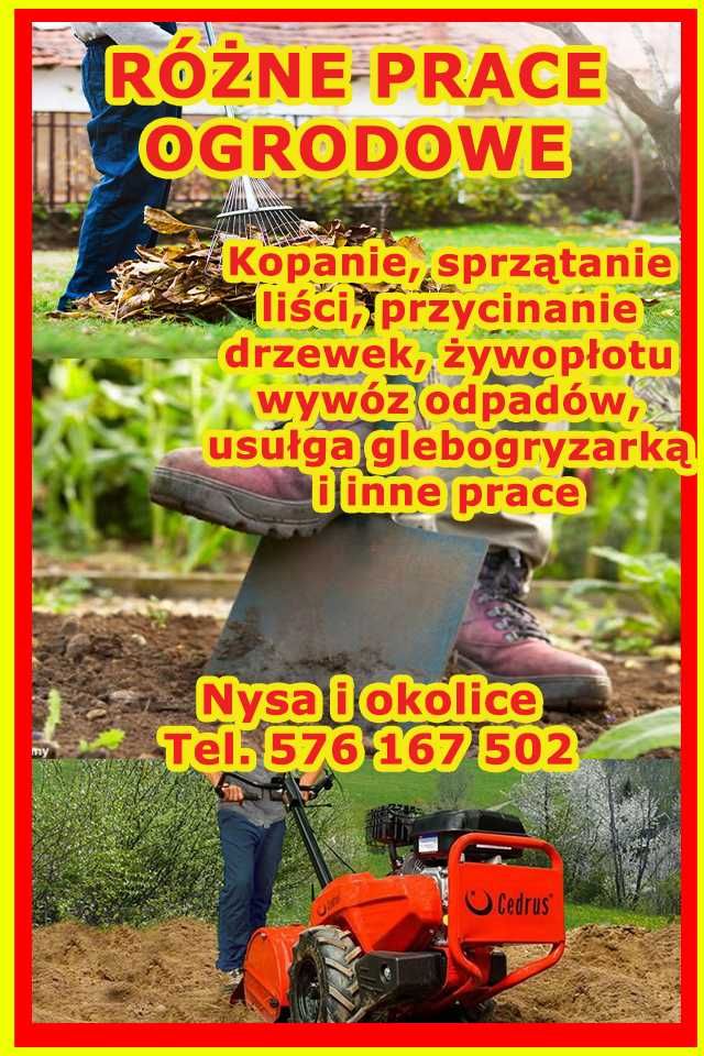 Przycinanie drzewek, koszenie, wycinka drzew, glebogryzarka, kopanie