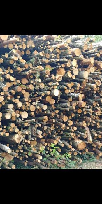 DREWNO OPAŁOWE na sprzedaż