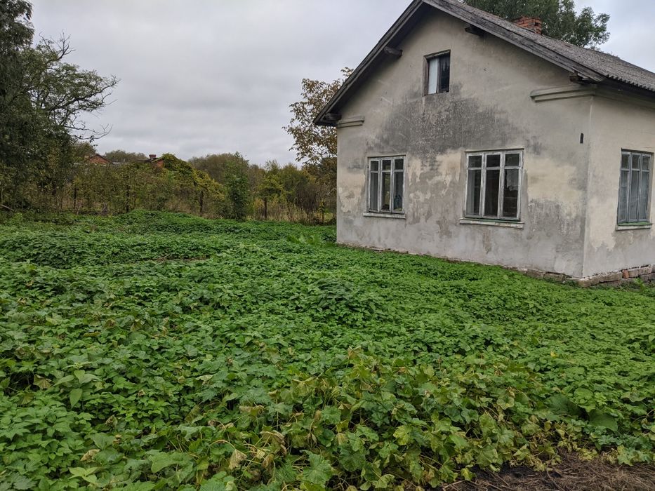 Продається будинок 45м.кв. 2кімнати с.Іванівка Перемишляни 17сот землі