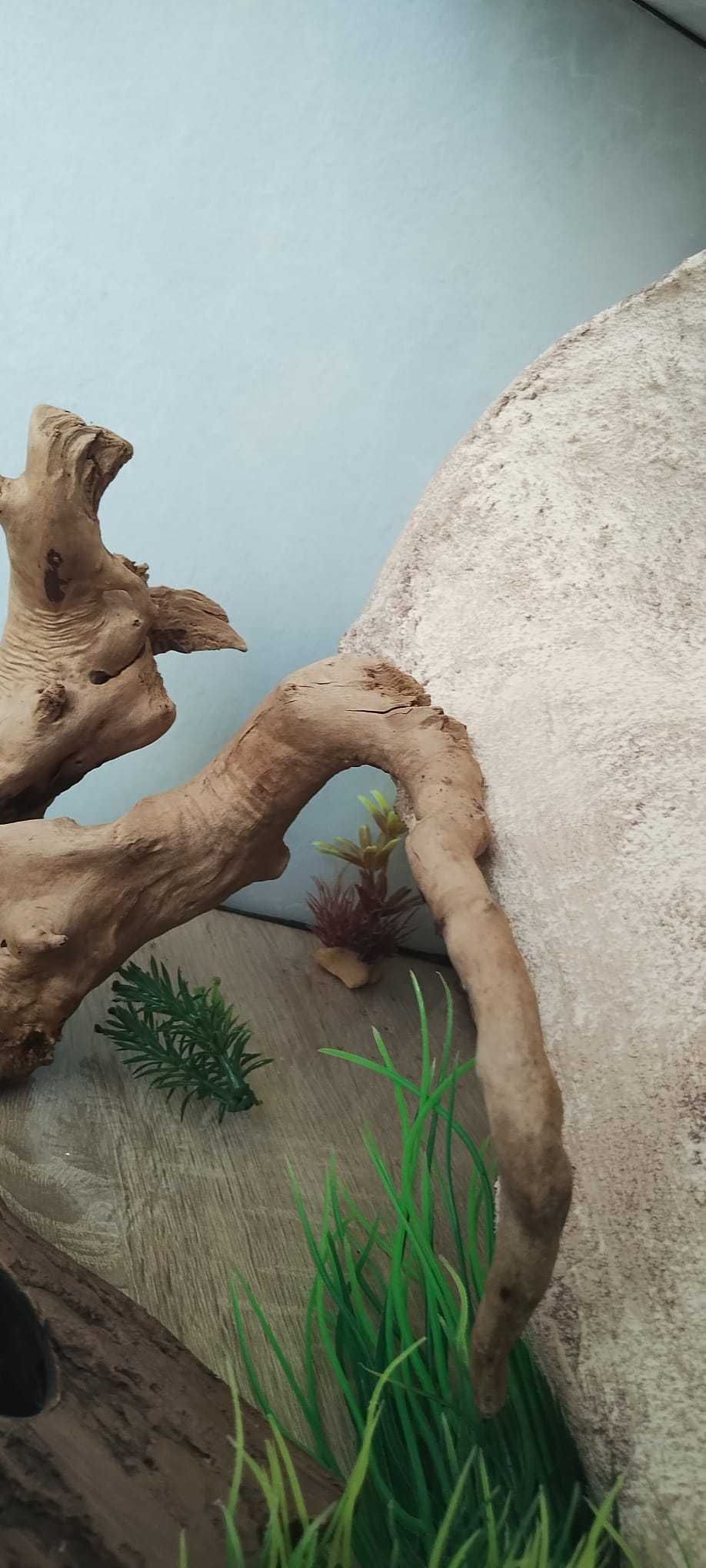 Terrarium dla gekona/węża