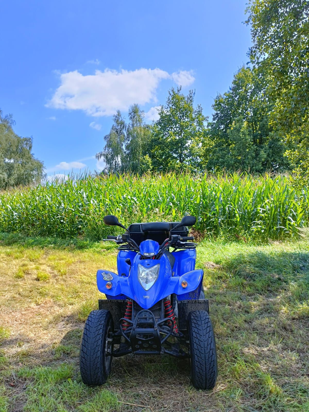 Quad KYMCO KXR 250