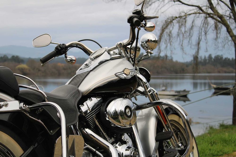 Harley-Davidson Softail Springer 100th Aniversary