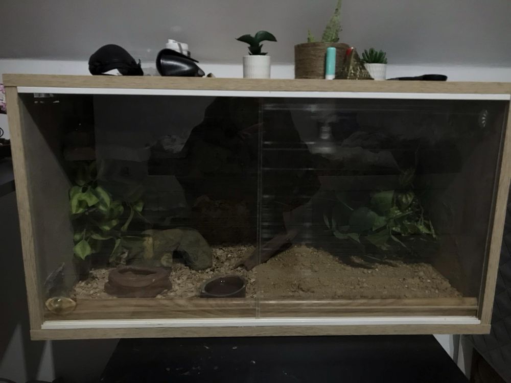 Terrarium dla gekona