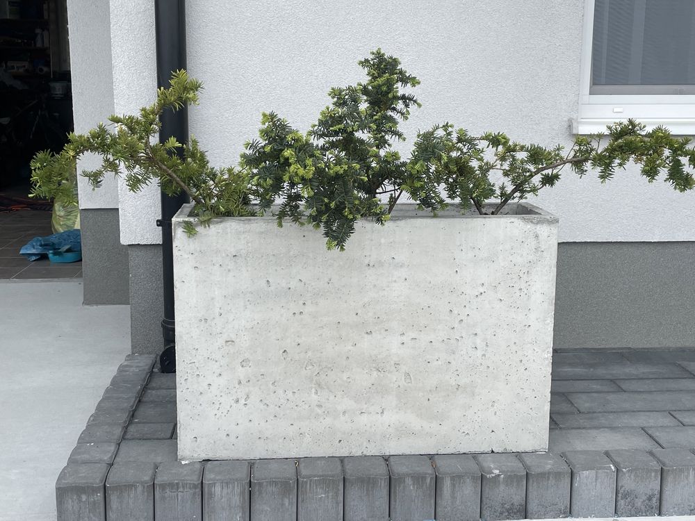 Donica betonowa beton architektoniczny