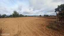 Terreno Rustico com 13500 M2 Lardosa