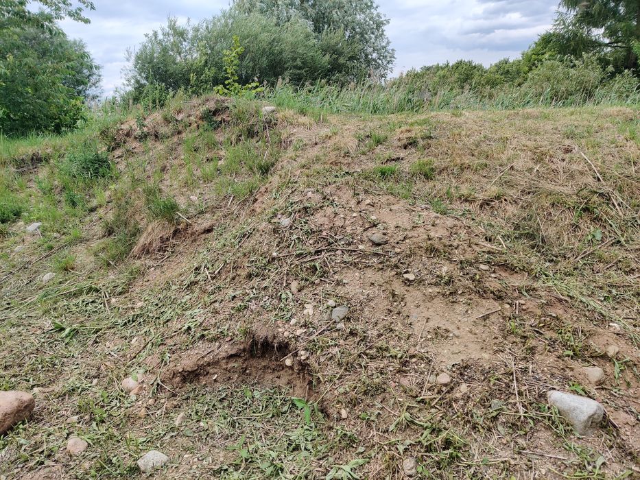 Oddam ziemie z wykopu