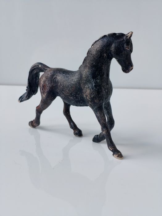 Коні шляйх. Кінь. Лошадь.