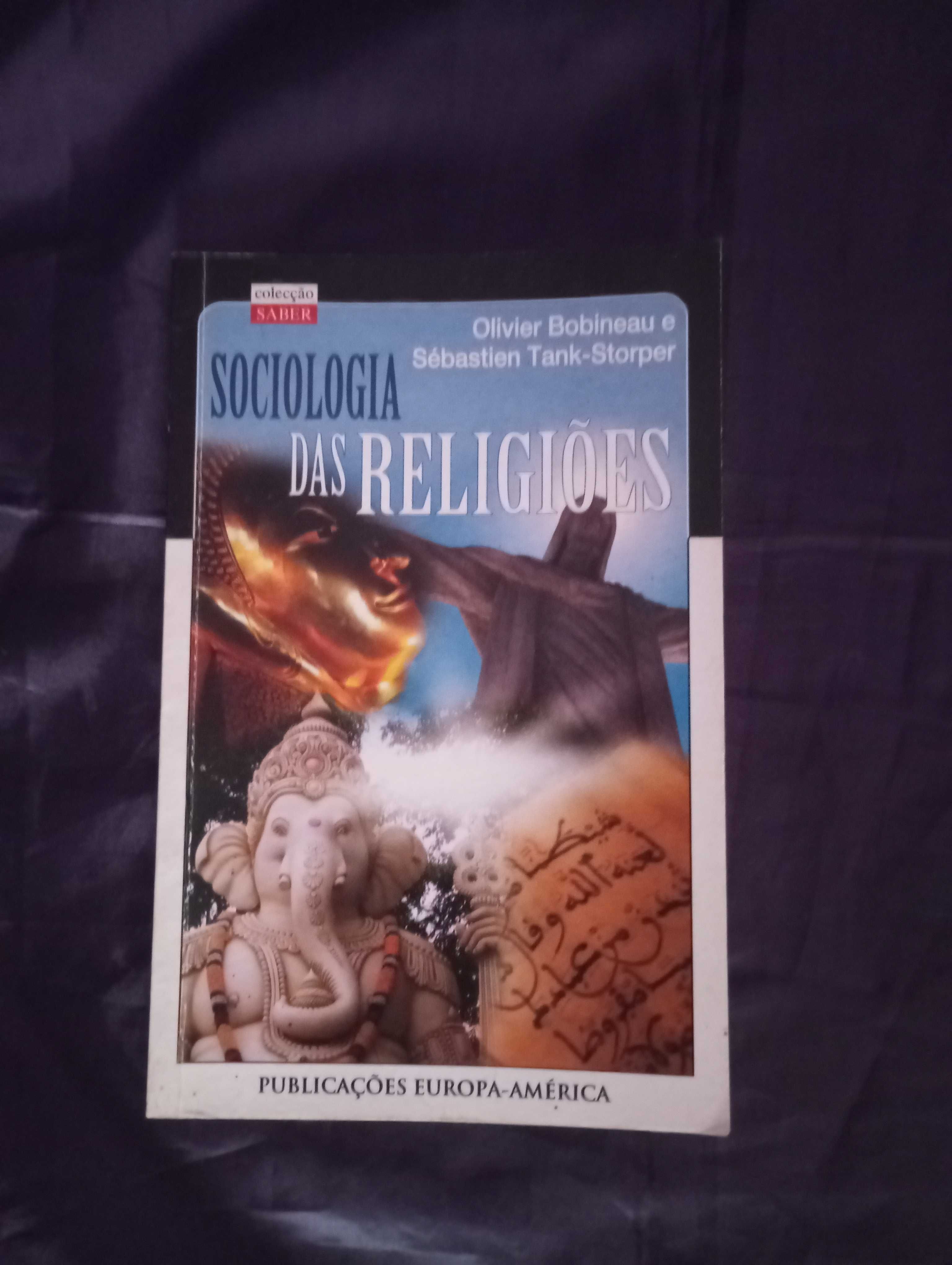 Sociologia das Religiões - Olivier Bobineau e Sébastian Tank-Storper