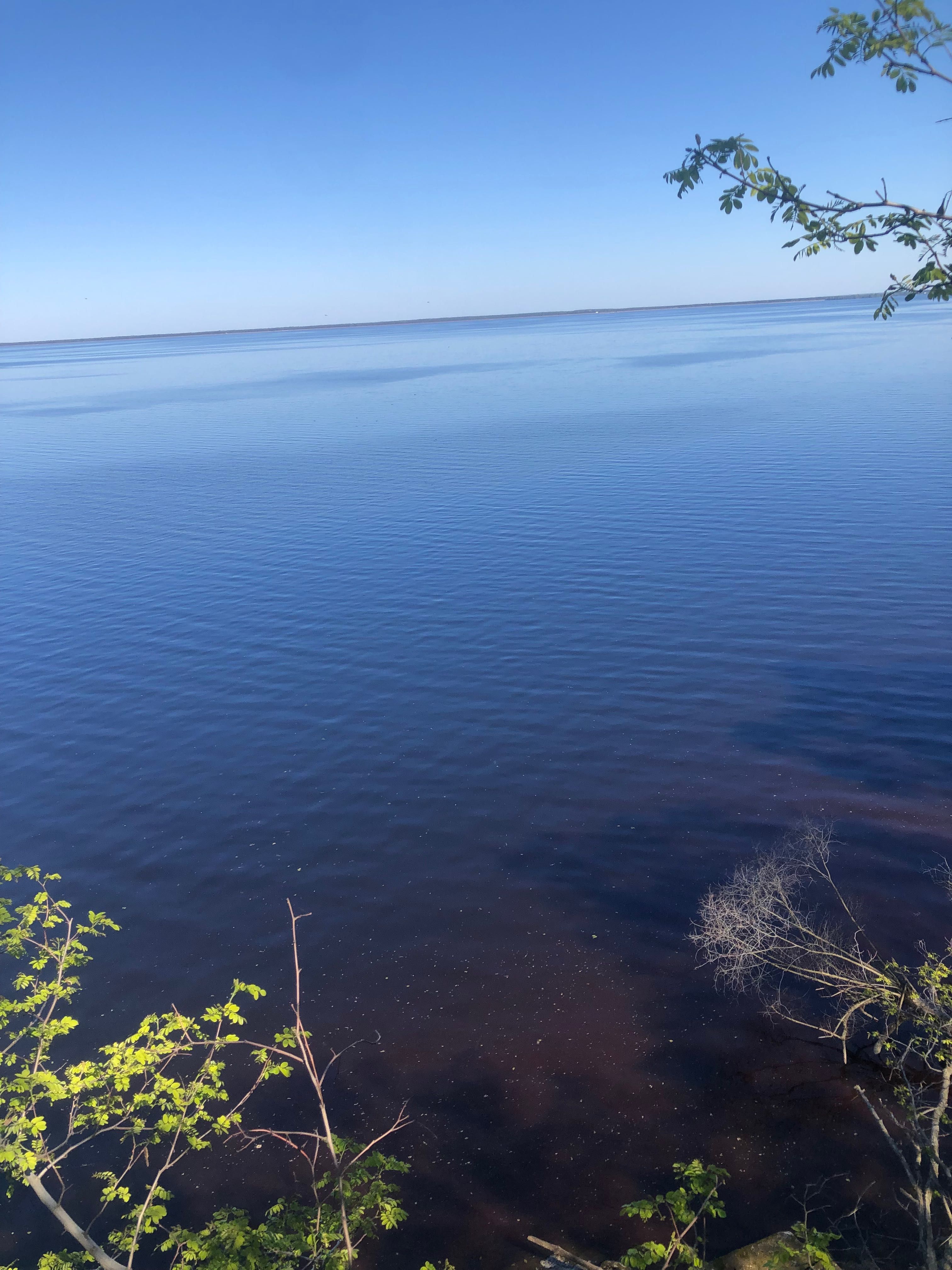 Земельна ділянка під Києвом з виходом до води