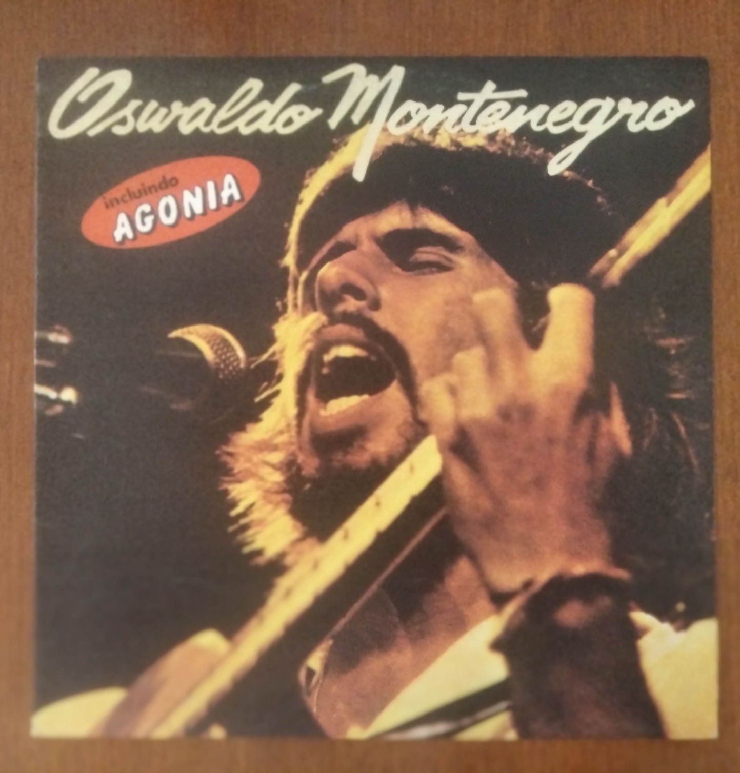 Oswaldo Montenegro disco de vinil