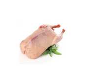 Tuszki z kaczek Pekin, Mulard