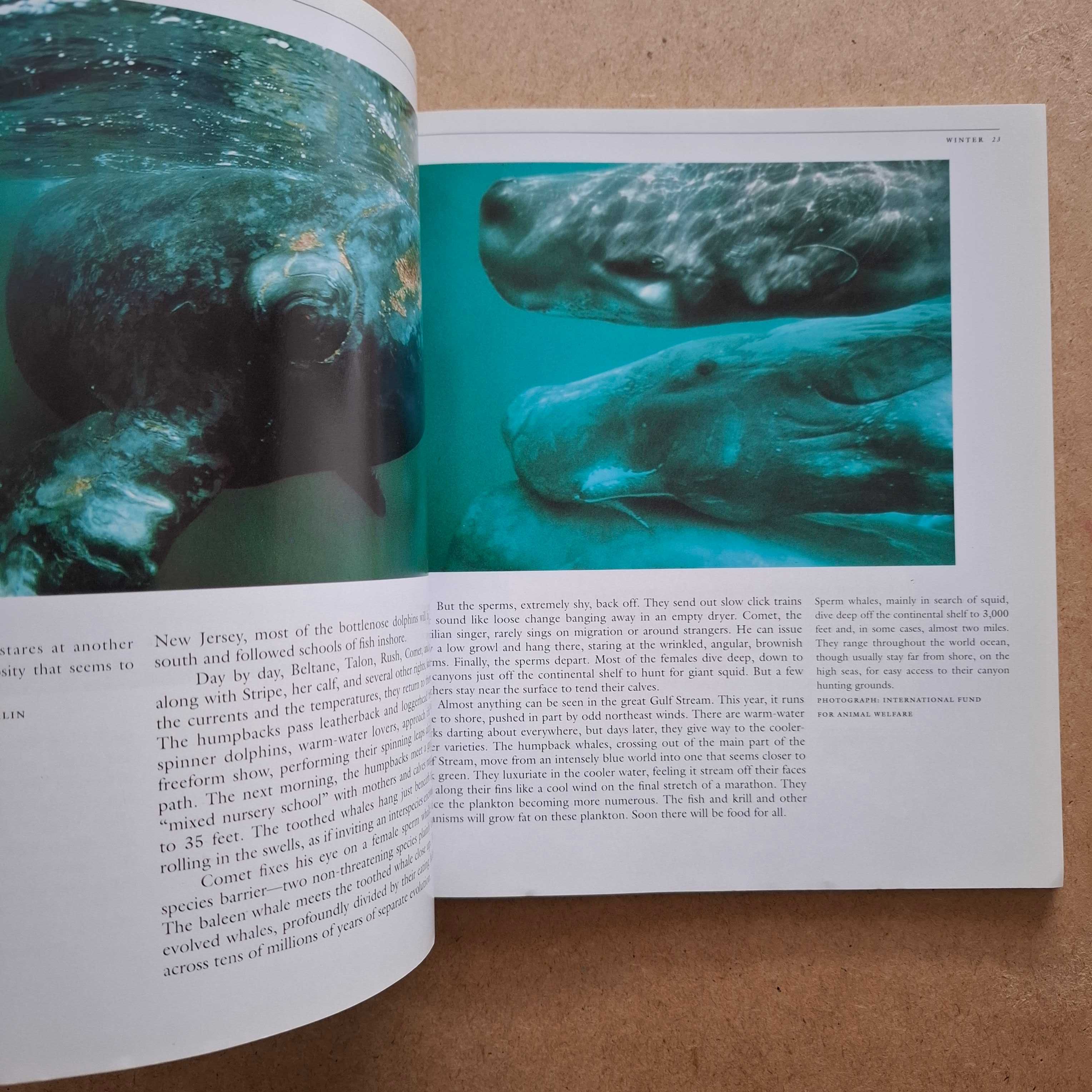 "Seasons of the Whale" de Erich Hoyt