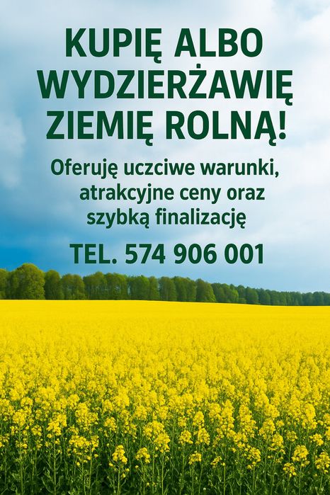Wydzierżawie grunty orne