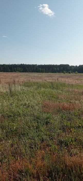 Земельна ділянка під будівництво