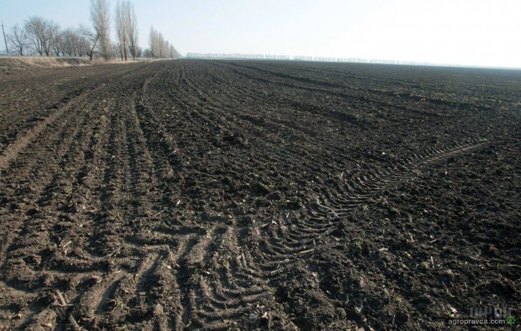 Пай земельна ділянка ОСГ