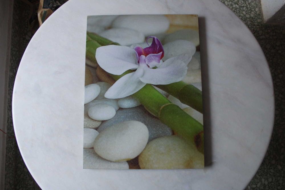 Diversos quadros (PARA DESPACHAR)