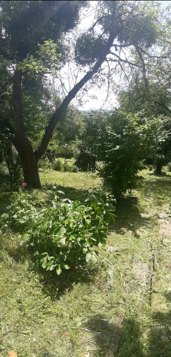 Ділянка 6 сот Клепарів,  Холодна-Виниця