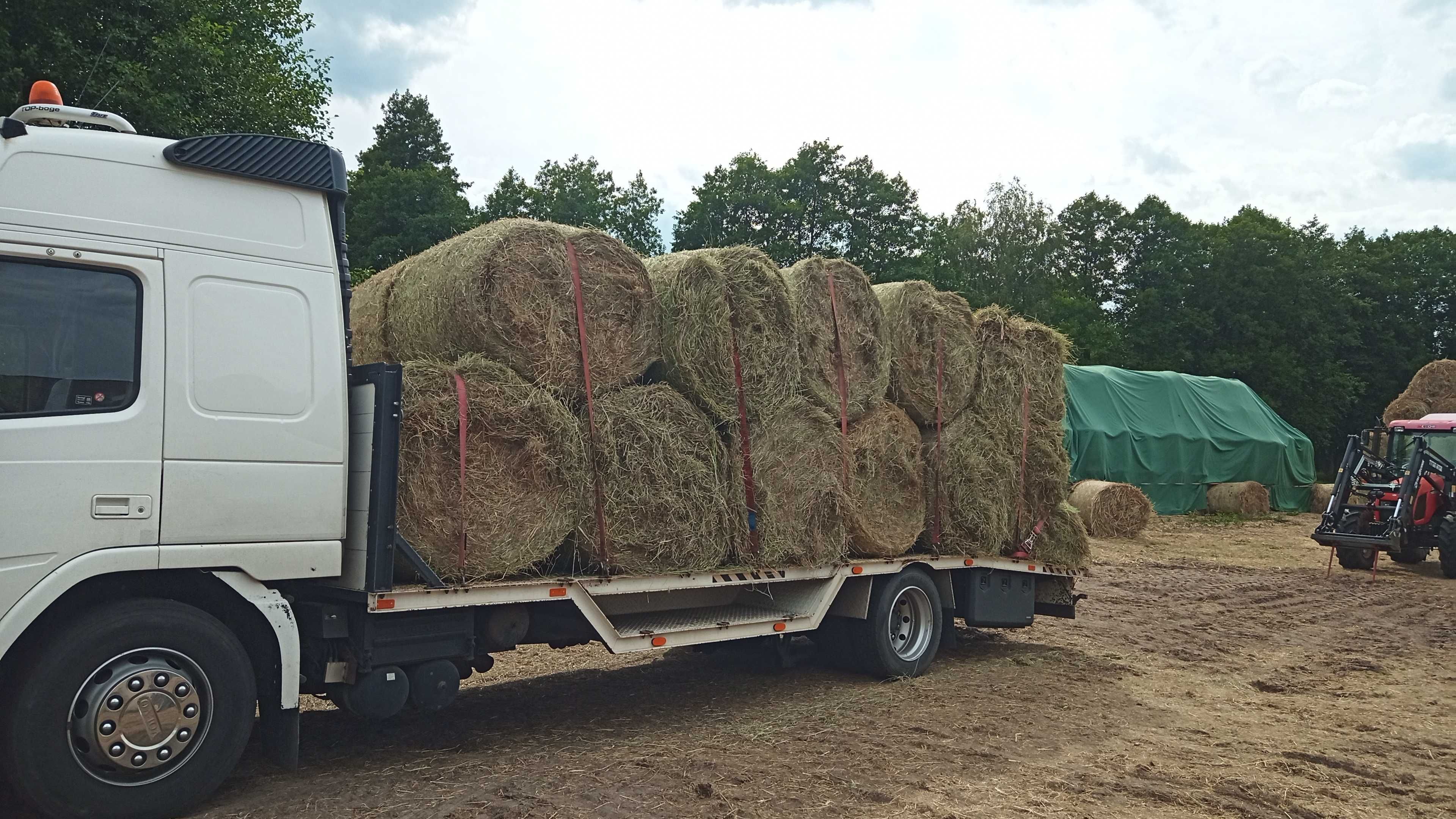 Usługi transportowe / Autolaweta / Pomoc drogowa