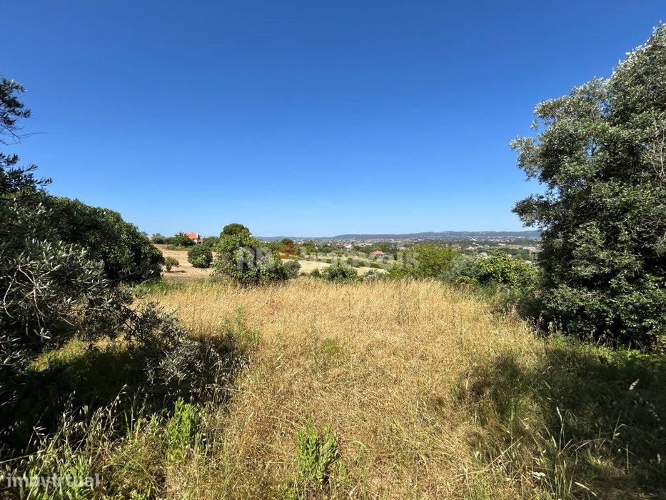 Lote de terreno urbano com 1502 m2 - Tomar