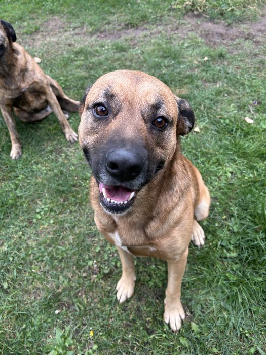 Szukamy domu razem lub oddzielnie