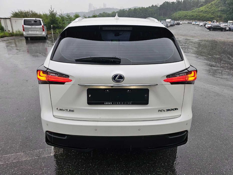 2018 Lexus NX 300h Hybrid