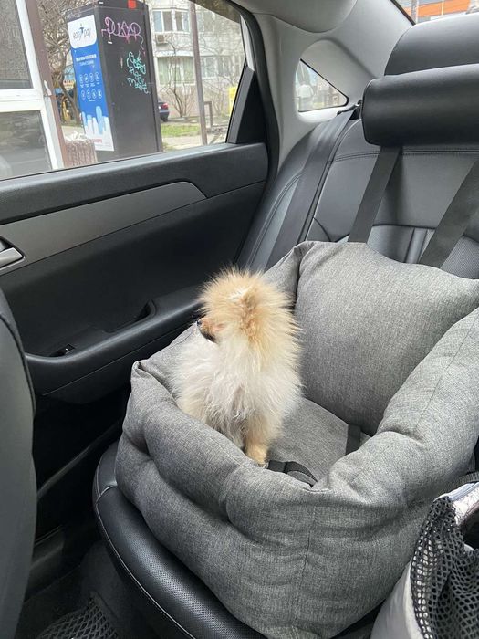 Автогамак - на заднє та переднє сидіння