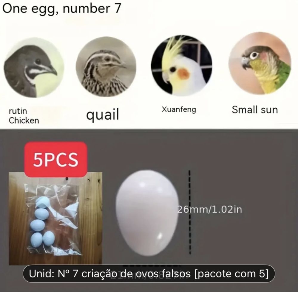 Ovos de plastico de aves