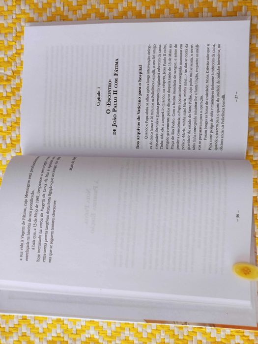 JOÃO PAULO II - O segredo que conduziu o Papa
de Aura Miguel