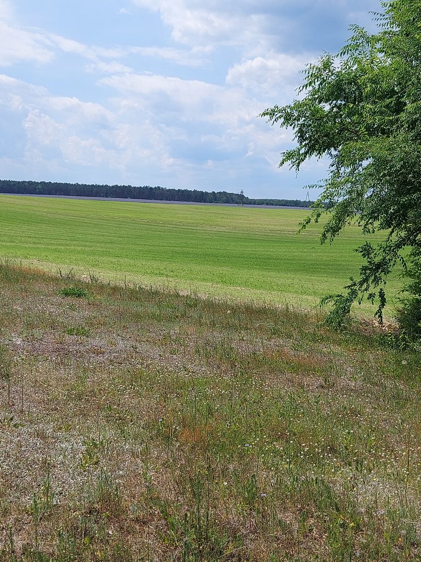 Działka budowlana Niesulice, działka nad jeziorem