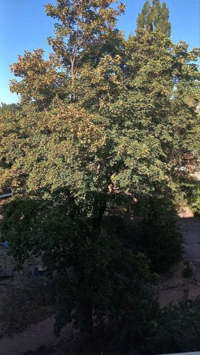 Продаю квартиру 2х ком. АРТЁМ (П. Глазового)