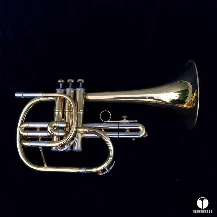 The Martin Committee flugelhorn Miles David Ahead ustnik gamonbrass