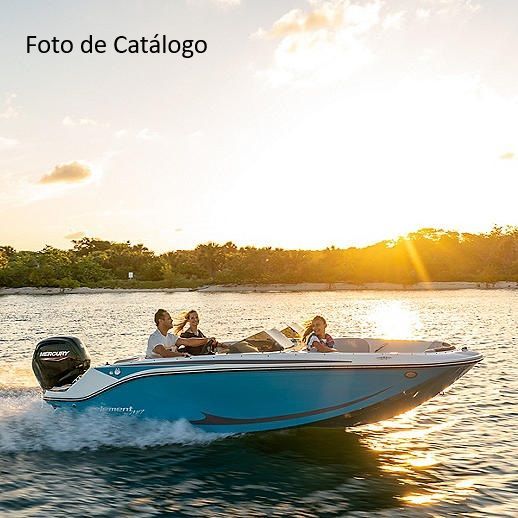 Bayliner Element M17