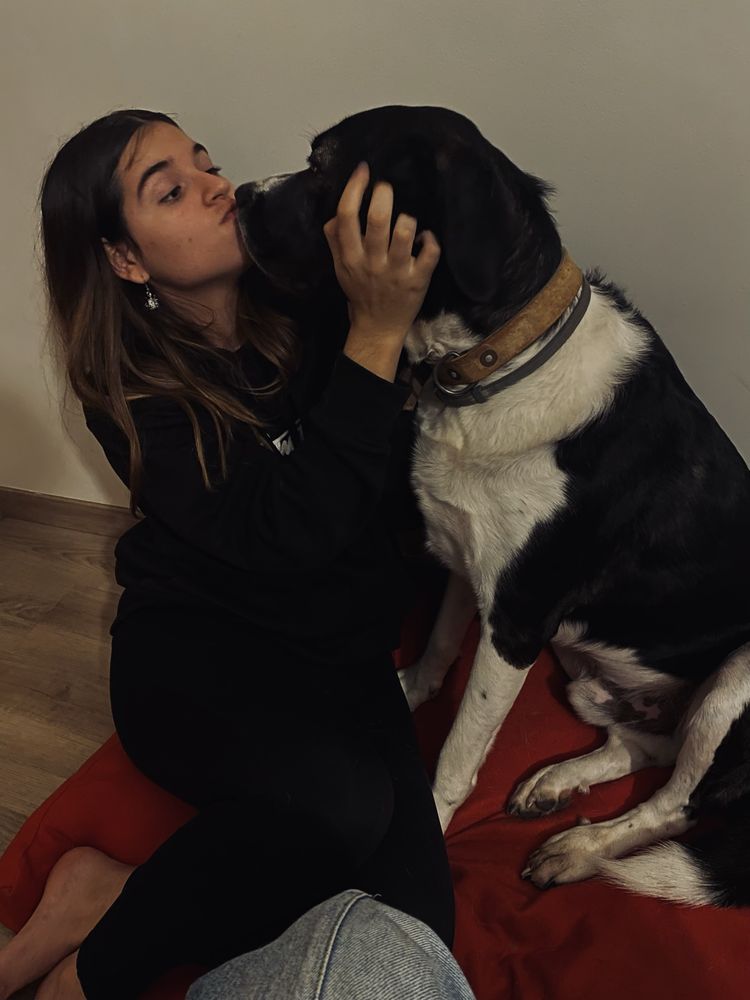 Serviços de ama com a Lavínia!
