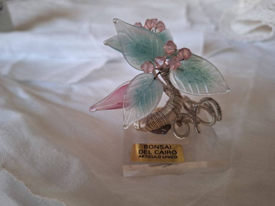 Bonsai del cairo. Peça única