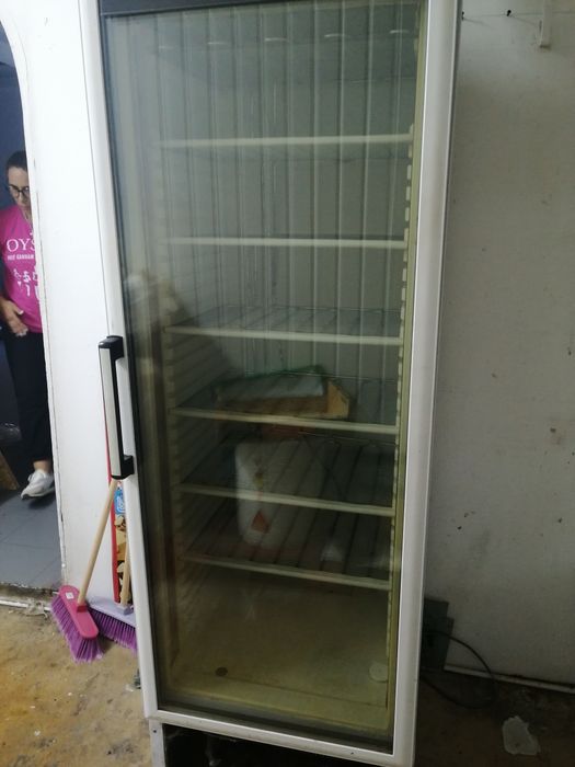 Arca vertical congeladora