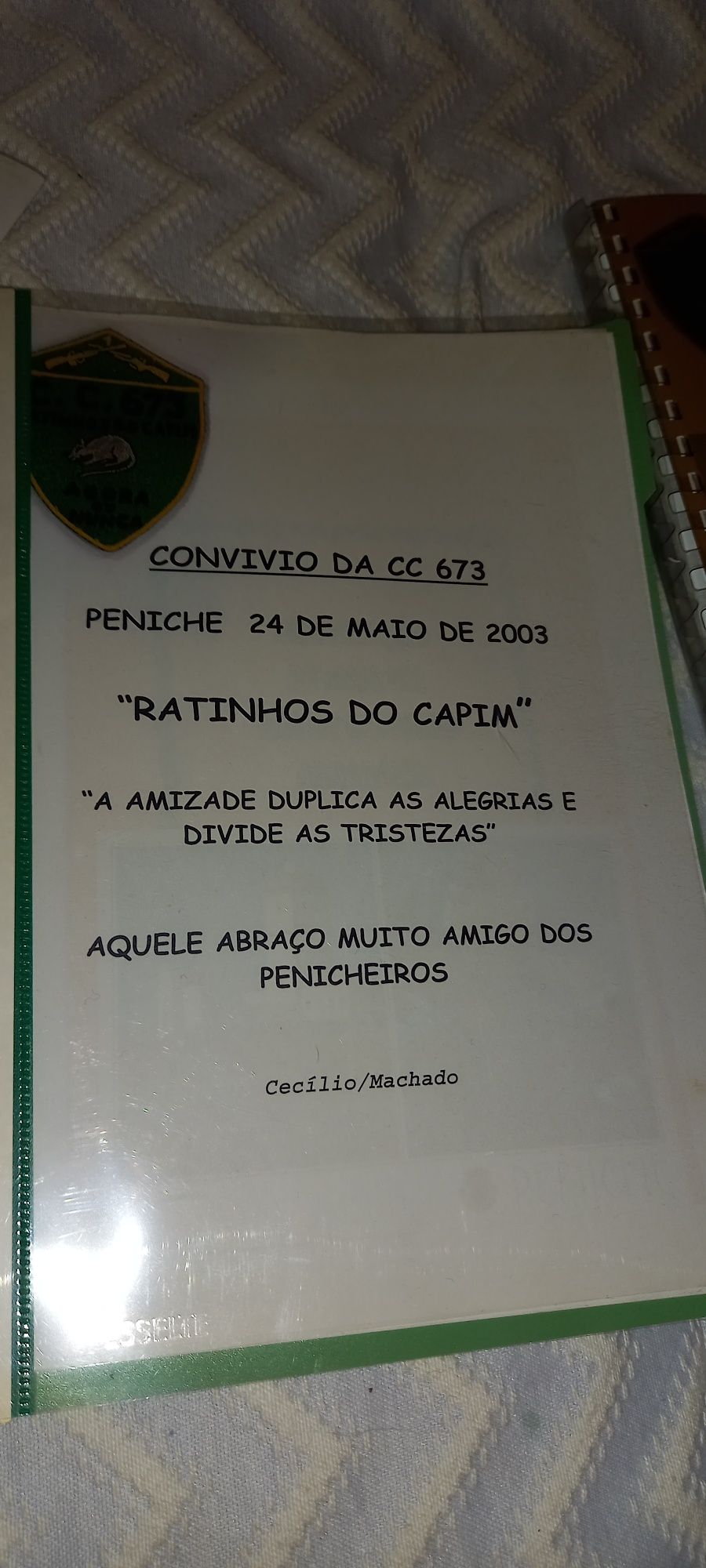 Recordações dos ratinhos do capim