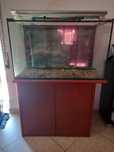 Aquario de agua quente com sump
