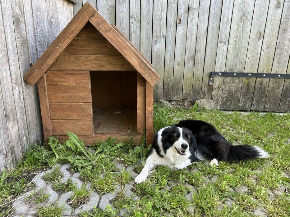 Buda dla duzego psa 110x80 cm