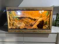 Terrarium dla agamy brodatej