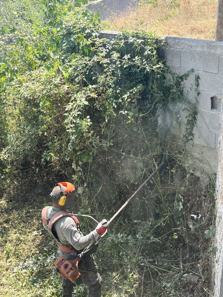 Limpeza de terrenos