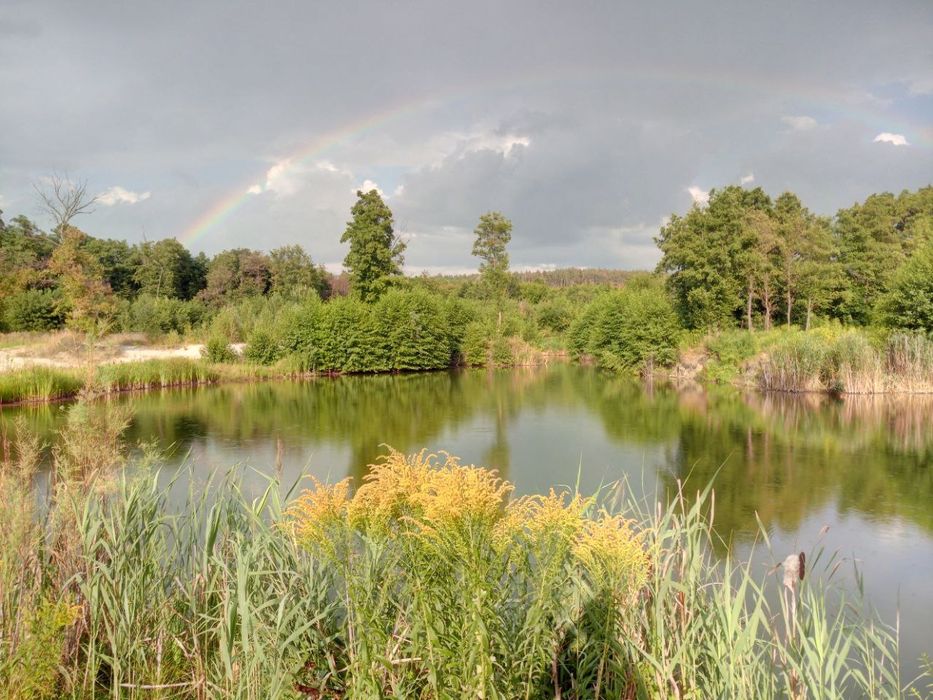 Каворкінг баня з кухнею і спальними капсулами і  харчевнею