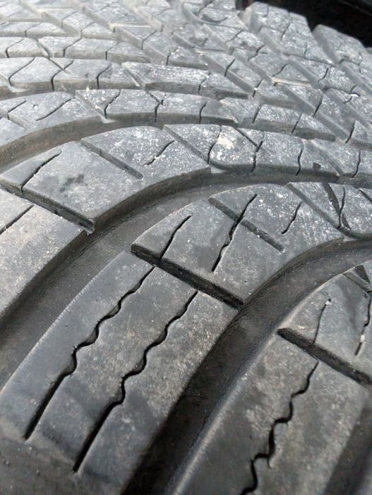 Opony całoroczne 205/55R16 Dębica